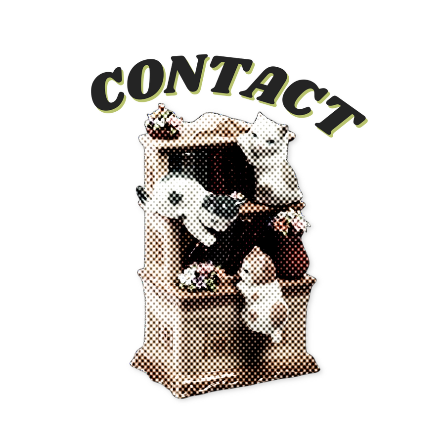 Contact Porcelain bookcase with miniature cats